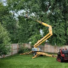 Best Lawn Drainage Solutions  in Bostonia, CA
